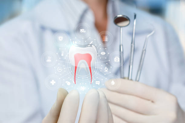 Best Root Canal Treatment  in Lake Mack Forest Hills, FL